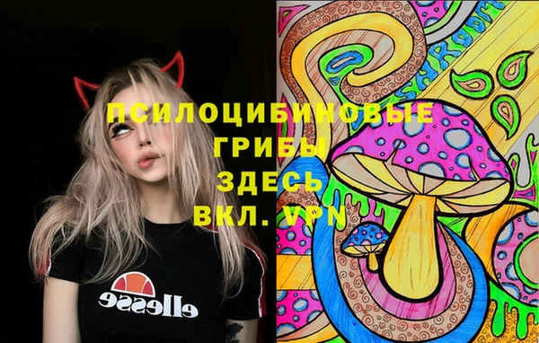 соль ск Волоколамск