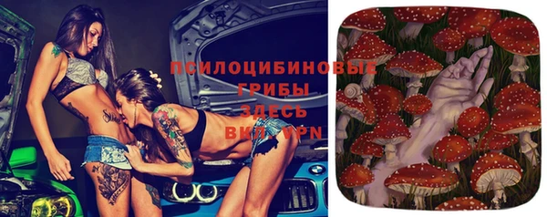соль ск Волоколамск