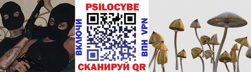 Галлюциногенные грибы ЛСД  Рузаевка 